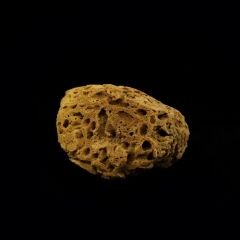 DEKOR DOĞAL DENİZ SÜNGERİ KOD:1474