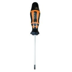 RETTA RXT1025 TORX UÇ DELİKLİ TORNAVİDA T25x100 MM