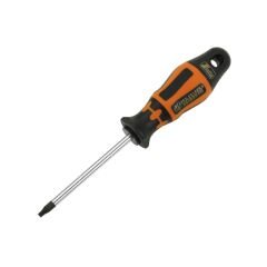 RETTA RXT0025 TORX UÇLU TORNAVİDA T25x100 MM