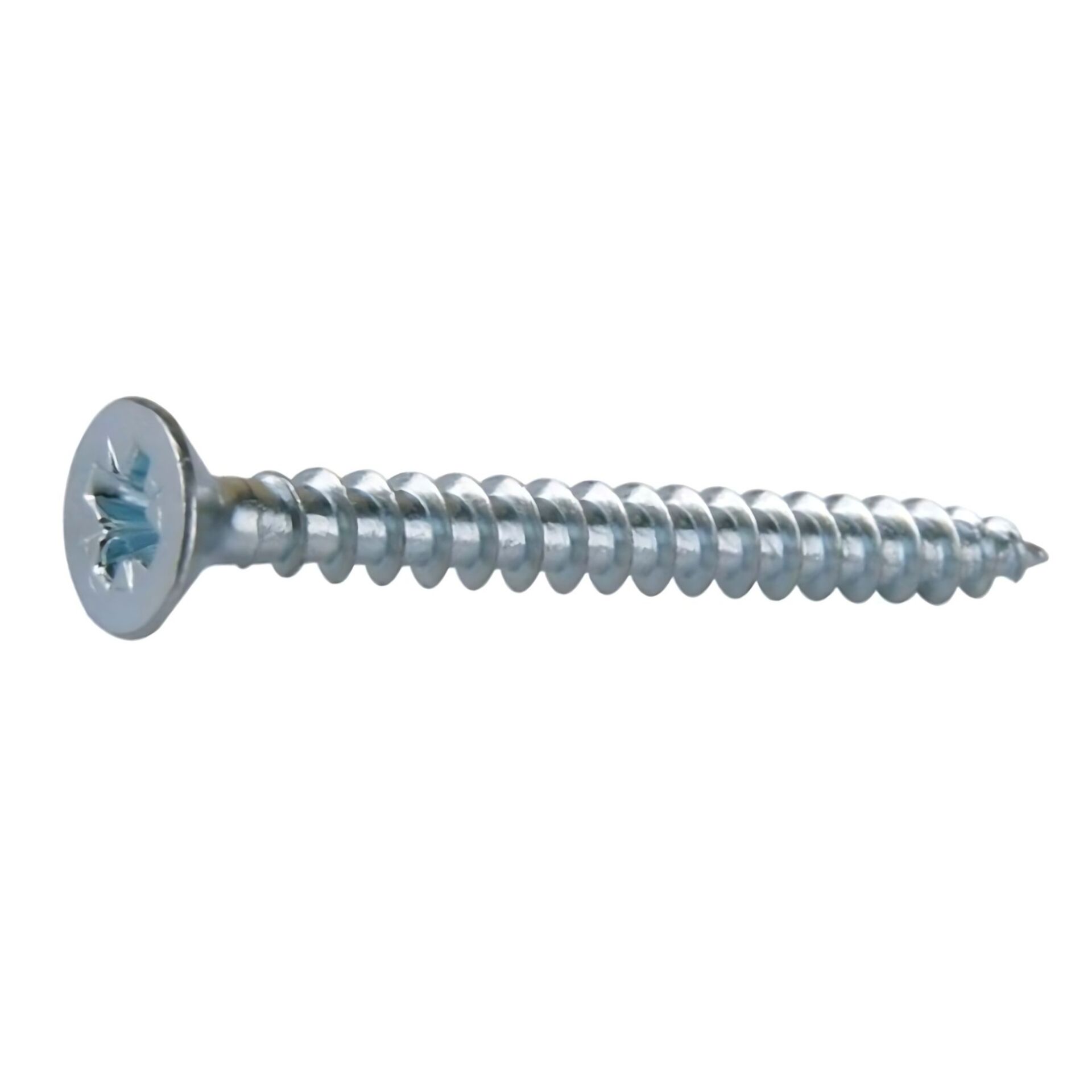 MERİDYEN SUNTA VİDASI 2.5x25 (1000 AD.)