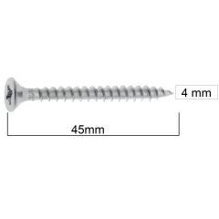 MERİDYEN SUNTA VİDASI 4x45 (500 AD.)
