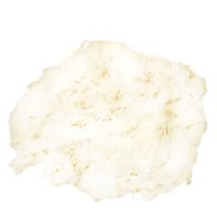 PASTALIK ÜSTÜBÜ 1000 GR